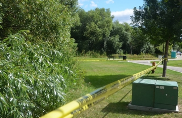 Kelowna's top stories of the week | iNFOnews.ca