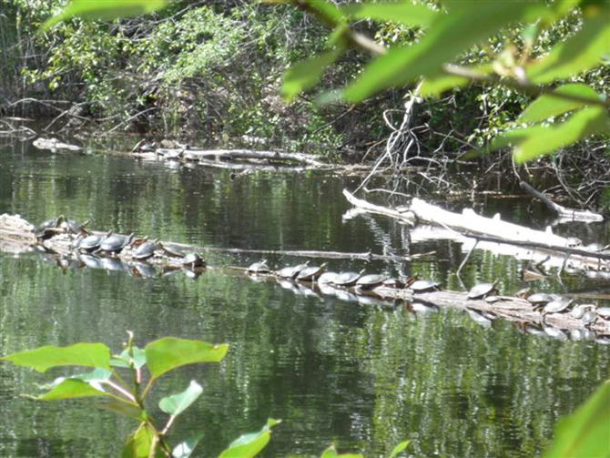 Twin Lakes residents prepare for vote as regional district decision looms | iNFOnews.ca Twin Lakes residents prepare for vote as regional district decision looms | iNFOnews.ca