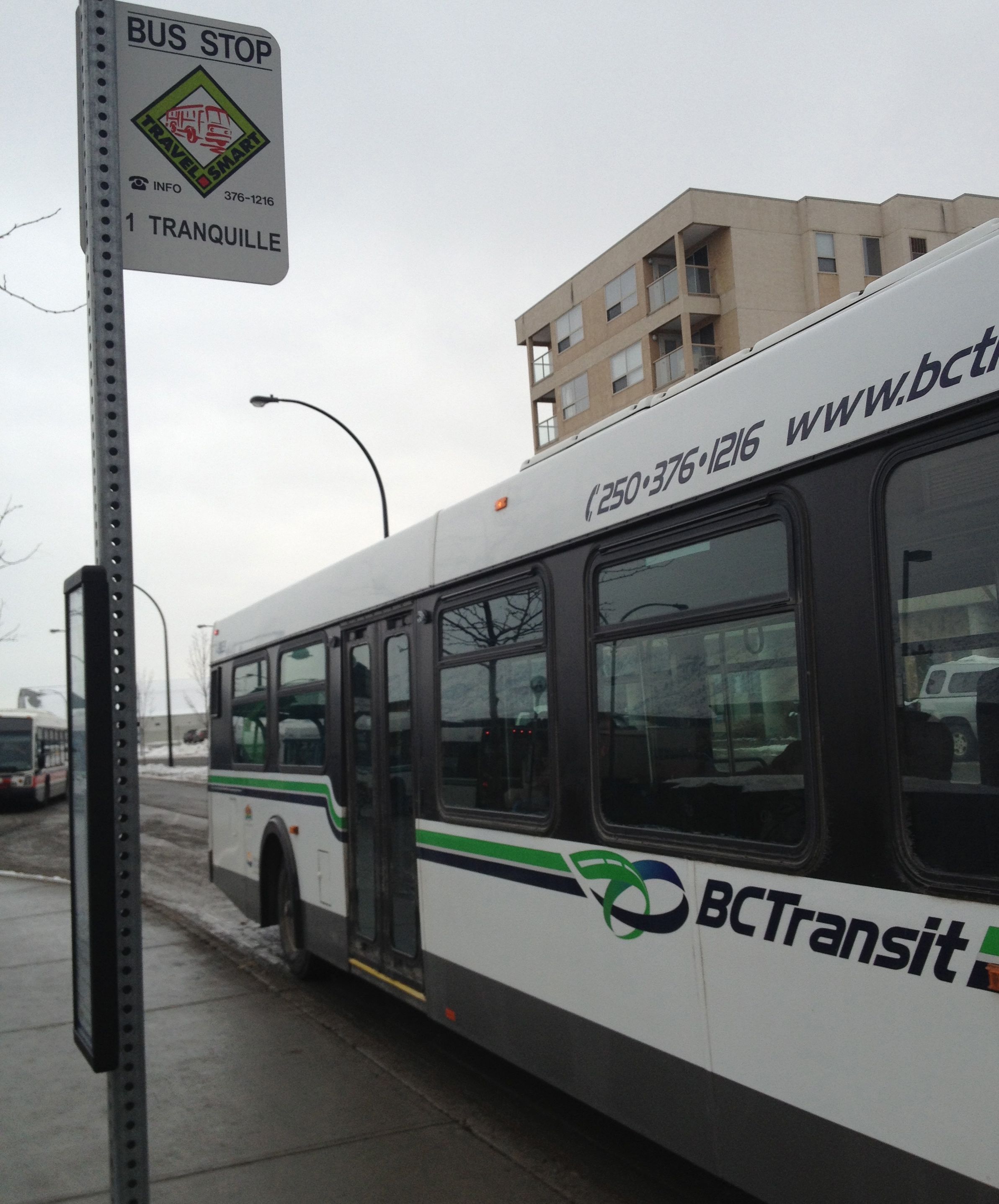 Internal investigation into bus driver who failed roadside test expected to conclude this week | iNFOnews.ca Internal investigation into bus driver who failed roadside test expected to conclude this week | iNFOnews.ca