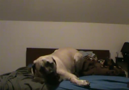 Don't mess with Lincoln | iNFOnews.ca Don't mess with Lincoln | iNFOnews.ca