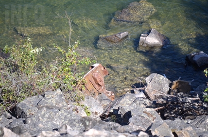 Rusty old cars getting a pricey tow from Okanagan Lake in Vernon | iNFOnews.ca