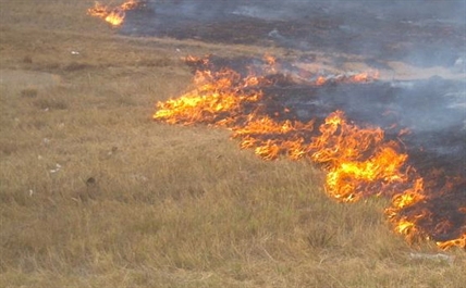 Quick action by locals contains grass fire | iNFOnews.ca