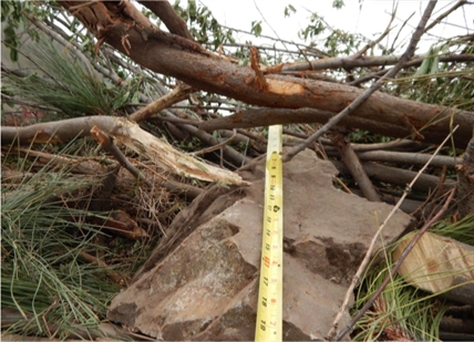 Contractors seeing big bills at landfills | iNFOnews.ca