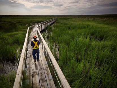 'We can't replace nature:' Oilsands wetland reclamation a mixed success | iNFOnews.ca