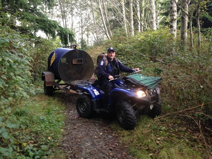 Vacation over for pair of grizzlies caught on remote island in B.C. | iNFOnews.ca