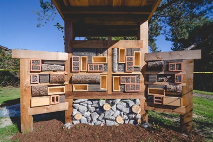 October is abuzz with bee events | iNFOnews.ca