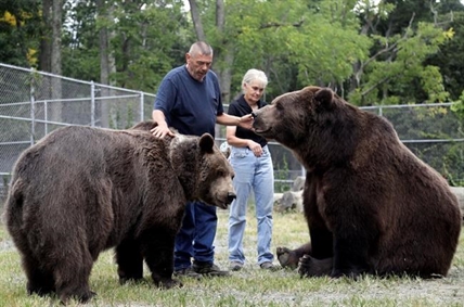 Bear with him: Man grabs attention for hugging big bears | iNFOnews.ca