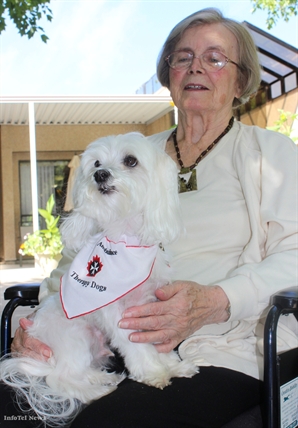 Therapy dogs fetch smiles, laughter | iNFOnews.ca