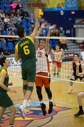 WolfPack mens volleyball lose battle with Golden Bears | iNFOnews.ca