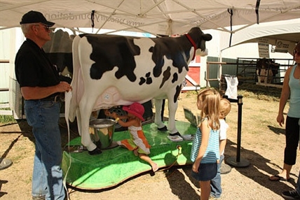 Armstrong IPE in the running for top B.C. festival | iNFOnews.ca