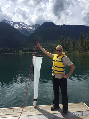No invasive mussels detected in Columbia Shuswap waters 2016 | iNFOnews.ca
