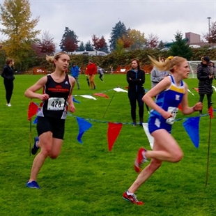 Lobay, Spickerhoff show well at USport cross country nationals | iNFOnews.ca