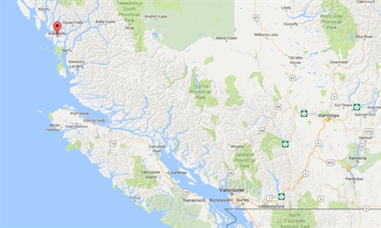 Dead humpback whale found tangled in defunct fish farm in B.C. | iNFOnews.ca