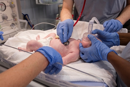 Premature babies at KGH breathe easier thanks to TB Vets gift | iNFOnews.ca Premature babies at KGH breathe easier thanks to TB Vets gift | iNFOnews.ca