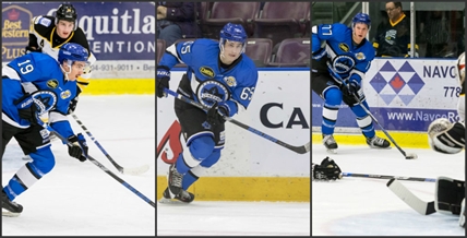 Three Vees' defencemen invited to WJAC camp | iNFOnews.ca