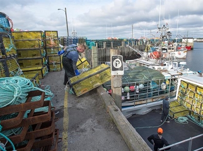 'Dumping Day' docked by blustery forecasts in effort to make lobster hunt safer | iNFOnews.ca