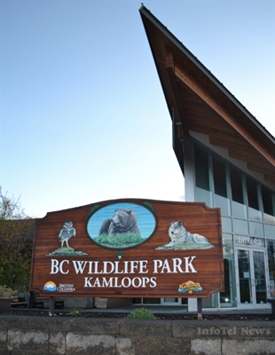 Zoo rehabilitation centre to be completed this fall | iNFOnews.ca