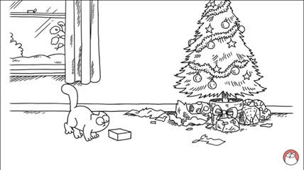 TRENDING NOW: Cat tries to fit in a little box | iNFOnews.ca