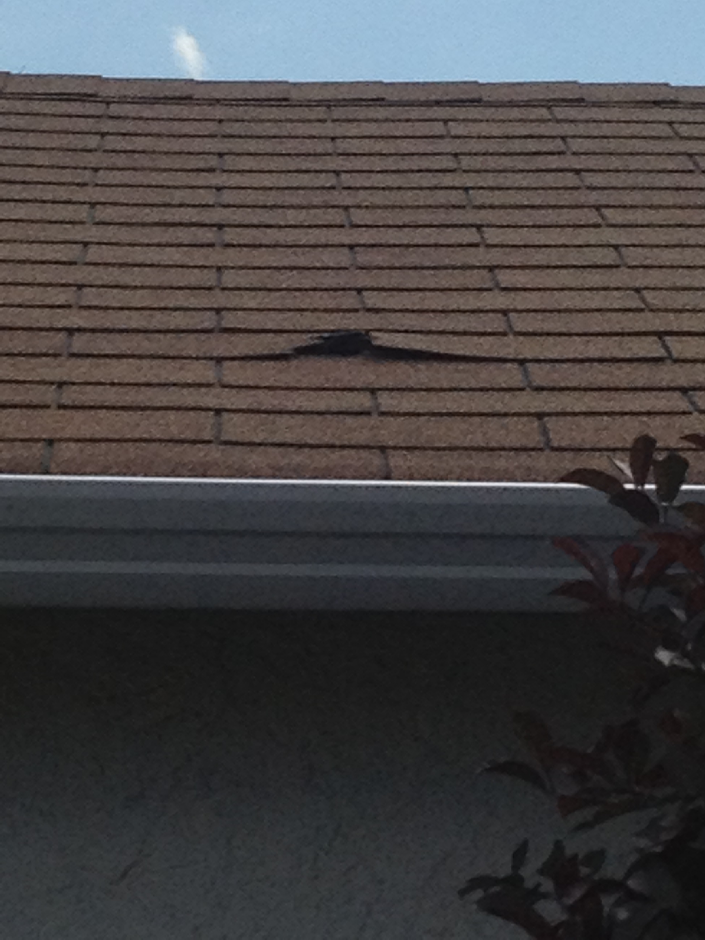 Explosion in residential Oliver under investigation | iNFOnews.ca