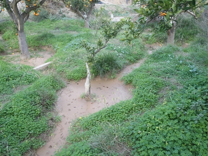MORAN: Centuries of proof in southern Spain that permaculture works | iNFOnews.ca