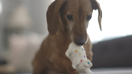 TRENDING NOW: Dog talks to his favourite toy | iNFOnews.ca