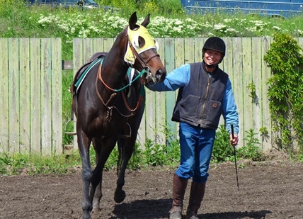 "Fair share" of funding sought for Vernon race track | iNFOnews.ca