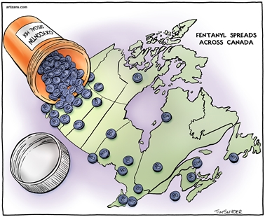 EDITORIAL CARTOON | iNFOnews.ca