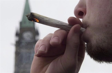 Ottawa's pot plan sparks enforcement concern at provincial level | iNFOnews.ca Ottawa's pot plan sparks enforcement concern at provincial level | iNFOnews.ca