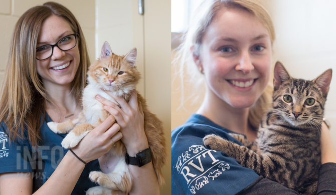 Paws, claws & whiskers: Where to adopt in Kamloops | iNFOnews.ca