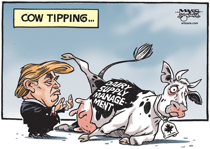 EDITORIAL CARTOON | iNFOnews.ca