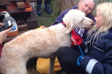 East coast dog placed on wrong flight and missing for two days found in Hamilton | iNFOnews.ca