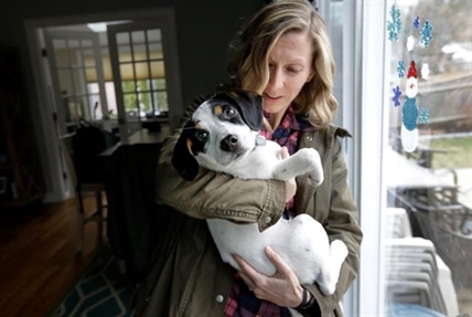 Match for mutts? New website helps people adopt the best dog | iNFOnews.ca