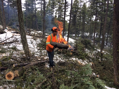 Two fuel modification projects with debris burning today in Central Okanagan | iNFOnews.ca