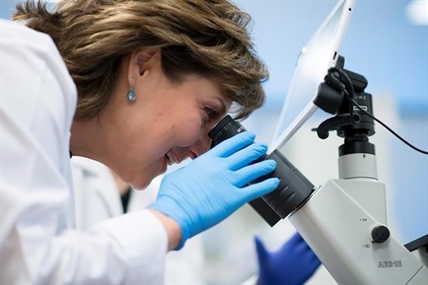 B.C. ELECTION 2017: Liberals say jobs the top election issue, while NDP pledges climate action | iNFOnews.ca