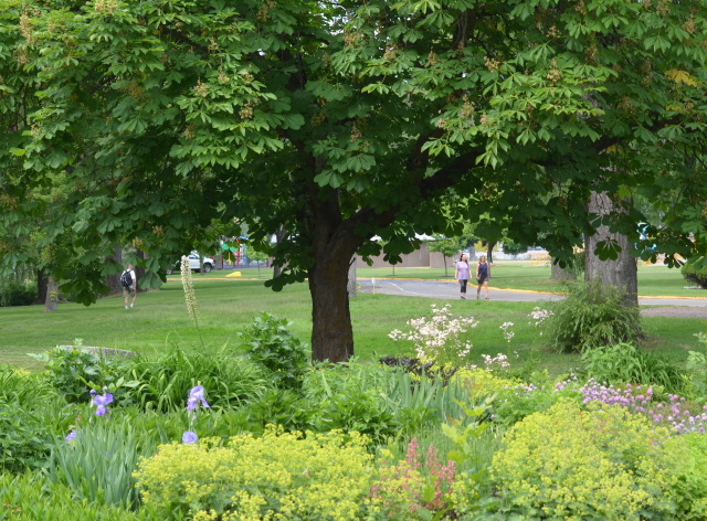 What Polson Park's many different users think about camps, homelessness and what the city could be doing | iNFOnews.ca