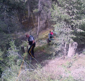 Several injured, horse put down in stage coach crash near Williams Lake | iNFOnews.ca