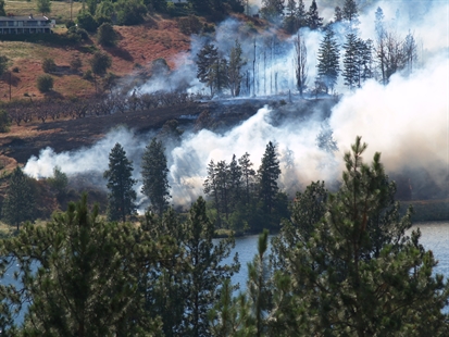 UPDATE: Homes lost in wildfire burning in Kaleden, police say | iNFOnews.ca