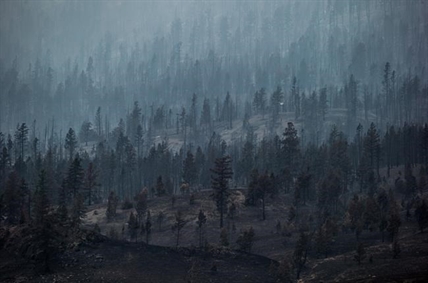 Oil, lumber companies mobilize to protect pipelines, mills from B.C. wildfires | iNFOnews.ca