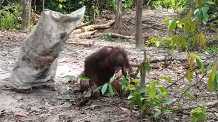 TRENDING NOW: What would you do to get your friends attention? | iNFOnews.ca