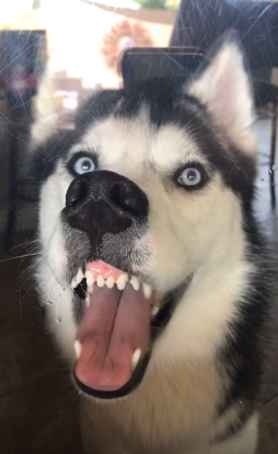 TRENDING NOW: This face could not be any more clear: Look at me | iNFOnews.ca TRENDING NOW: This face could not be any more clear: Look at me | iNFOnews.ca