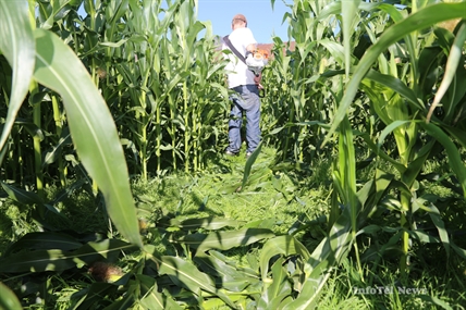 Lots happening in the 'Loops | iNFOnews.ca