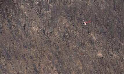 B.C.'s wildfire season to have long-term implications for logging | iNFOnews.ca B.C.'s wildfire season to have long-term implications for logging | iNFOnews.ca