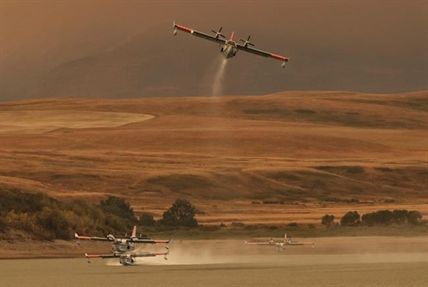 Alberta wildlife expert says animals well adapted to survive wildfires | iNFOnews.ca Alberta wildlife expert says animals well adapted to survive wildfires | iNFOnews.ca