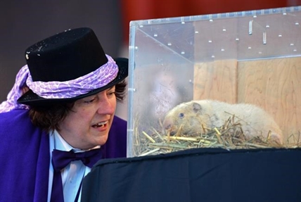 Forecasting groundhog Wiarton Willie dies at 13 | iNFOnews.ca Forecasting groundhog Wiarton Willie dies at 13 | iNFOnews.ca