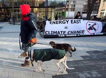 TransCanada blames 'substantial uncertainty' for killing Energy East pipeline | iNFOnews.ca