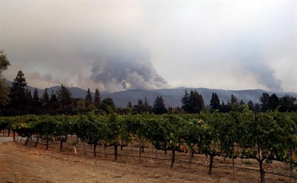 Fires destroy at least two California wineries, damage others | iNFOnews.ca Fires destroy at least two California wineries, damage others | iNFOnews.ca