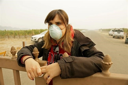 Vintners inspect grapes, check buildings after California wildfires | iNFOnews.ca Vintners inspect grapes, check buildings after California wildfires | iNFOnews.ca