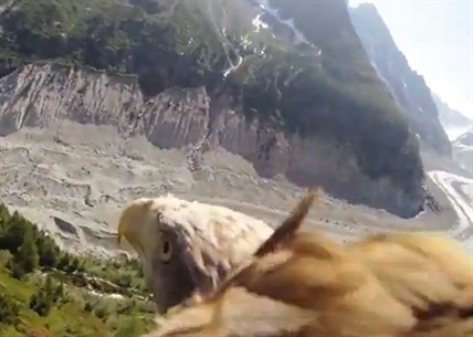 Fly like an eagle | iNFOnews.ca Fly like an eagle | iNFOnews.ca