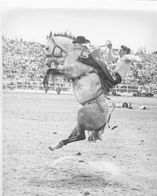 Canada's most revered cowboy receives high honour 11 years after death | iNFOnews.ca Canada's most revered cowboy receives high honour 11 years after death | iNFOnews.ca