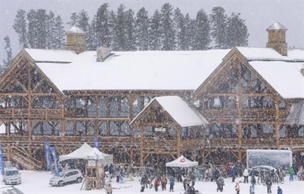 Alberta ski resort faces trial next month; charged with cutting endangered trees | iNFOnews.ca Alberta ski resort faces trial next month; charged with cutting endangered trees | iNFOnews.ca